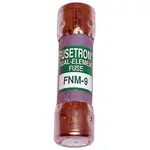 AllPoints Foodservice Parts & Supplies 38-1202 FNM Fuse