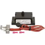 AllPoints Foodservice Parts & Supplies 44-1169 Pilot Igniter