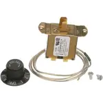 AllPoints Foodservice Parts & Supplies 46-1321 Freezer Controls