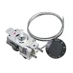 AllPoints Foodservice Parts & Supplies 46-1651 Cold Control