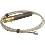 AllPoints Foodservice Parts & Supplies 48-1123 Pilot Generator