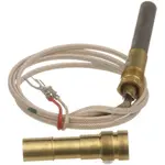 AllPoints Foodservice Parts & Supplies 51-1120 Pilot Generator