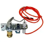 AllPoints Foodservice Parts & Supplies 51-1356 Pilot