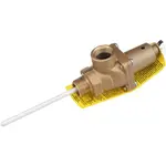 AllPoints Foodservice Parts & Supplies 56-1081 Watts Pressure/Temperature Relief Valve
