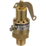 AllPoints Foodservice Parts & Supplies 56-1203 Safety Relief Valve