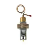 AllPoints Foodservice Parts & Supplies 58-1173 Water Regulator