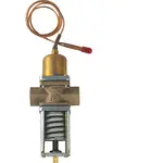 AllPoints Foodservice Parts & Supplies 58-1173 Water Regulator