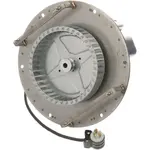 AllPoints Foodservice Parts & Supplies 68-1079 Motor