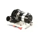 AllPoints Foodservice Parts & Supplies 681420 Motor / Motor Parts, Replacement