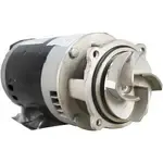 AllPoints Foodservice Parts & Supplies 681482 Parts & Accessories