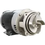 AllPoints Foodservice Parts & Supplies 681482 Parts & Accessories