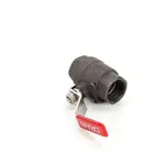 AllPoints Foodservice Parts & Supplies 8009118 Valve, Misc