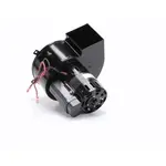 AllPoints Foodservice Parts & Supplies 8009251 Motor / Motor Parts, Replacement