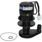 AllPoints Foodservice Parts & Supplies 8010261 Motor / Motor Parts, Replacement