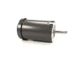 AllPoints Foodservice Parts & Supplies 8010781 Motor / Motor Parts, Replacement
