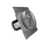 AllPoints Foodservice Parts & Supplies 8010818 Motor / Motor Parts, Replacement