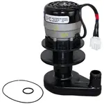 AllPoints Foodservice Parts & Supplies 8011322 Motor / Motor Parts, Replacement