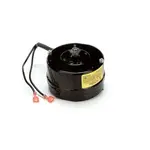 AllPoints Foodservice Parts & Supplies 8013701 Motor / Motor Parts, Replacement