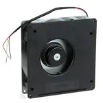 AllPoints Foodservice Parts & Supplies 8013865 Motor / Motor Parts, Replacement