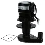 AllPoints Foodservice Parts & Supplies 8015889 Motor / Motor Parts, Replacement