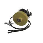 AllPoints Foodservice Parts & Supplies N21417983 Motor / Motor Parts, Replacement