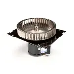 AllPoints Foodservice Parts & Supplies N21431926 Motor / Motor Parts, Replacement