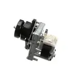 AllPoints Foodservice Parts & Supplies N21451966 Motor / Motor Parts, Replacement