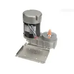 AllPoints Foodservice Parts & Supplies N21455129 Motor / Motor Parts, Replacement