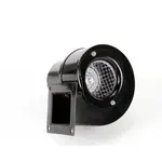 AllPoints Foodservice Parts & Supplies N21518249 Motor / Motor Parts, Replacement