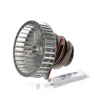 AllPoints Foodservice Parts & Supplies N21528416 Motor / Motor Parts, Replacement