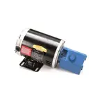 AllPoints Foodservice Parts & Supplies N21556638 Motor / Motor Parts, Replacement