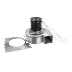 AllPoints Foodservice Parts & Supplies N21586112 Motor / Motor Parts, Replacement