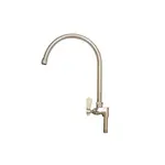 BK Resources EVO-AF8G Evolution Series Add On Faucet