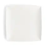 Browne USA 5630191 Plate