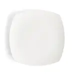 Browne USA 5630197 Plate