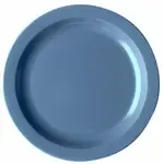 Cambro 10CWNR401 Camwear® Plate