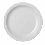 Cambro 55CWNR148 Camwear® Plate