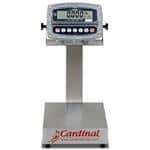 Detecto EB-15-190 Scale