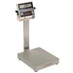 Detecto EB-150-185B Scale