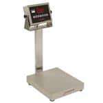 Detecto EB-30-205 Scale