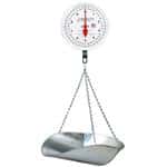 Detecto MCS-40P Scale