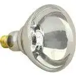 FMP 253-1121 Infrared Heat Bulb Uncoated standard bulb