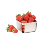 G.E.T. Enterprises 4-80828 Berry Basket