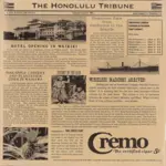G.E.T. Enterprises 4-TH1700 Food-Safe Hawaii Newsprint Liner