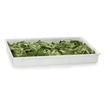 G.E.T. Enterprises CIH1F-WW Bugambilia® Fit Perfect™ Food Pan
