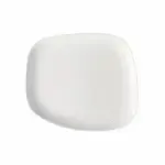 G.E.T. Enterprises PA1101929624 Asymmetric Plate