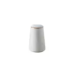 G.E.T. Enterprises PA1605709812 Salt Shaker