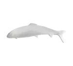 G.E.T. Enterprises PHT07PC Bugambilia® Trout