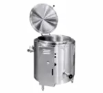 Groen EE-40 Kettle