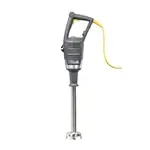 Hamilton Beach HMI012-CE (International) BigRig™ Immersion Blender Mixer